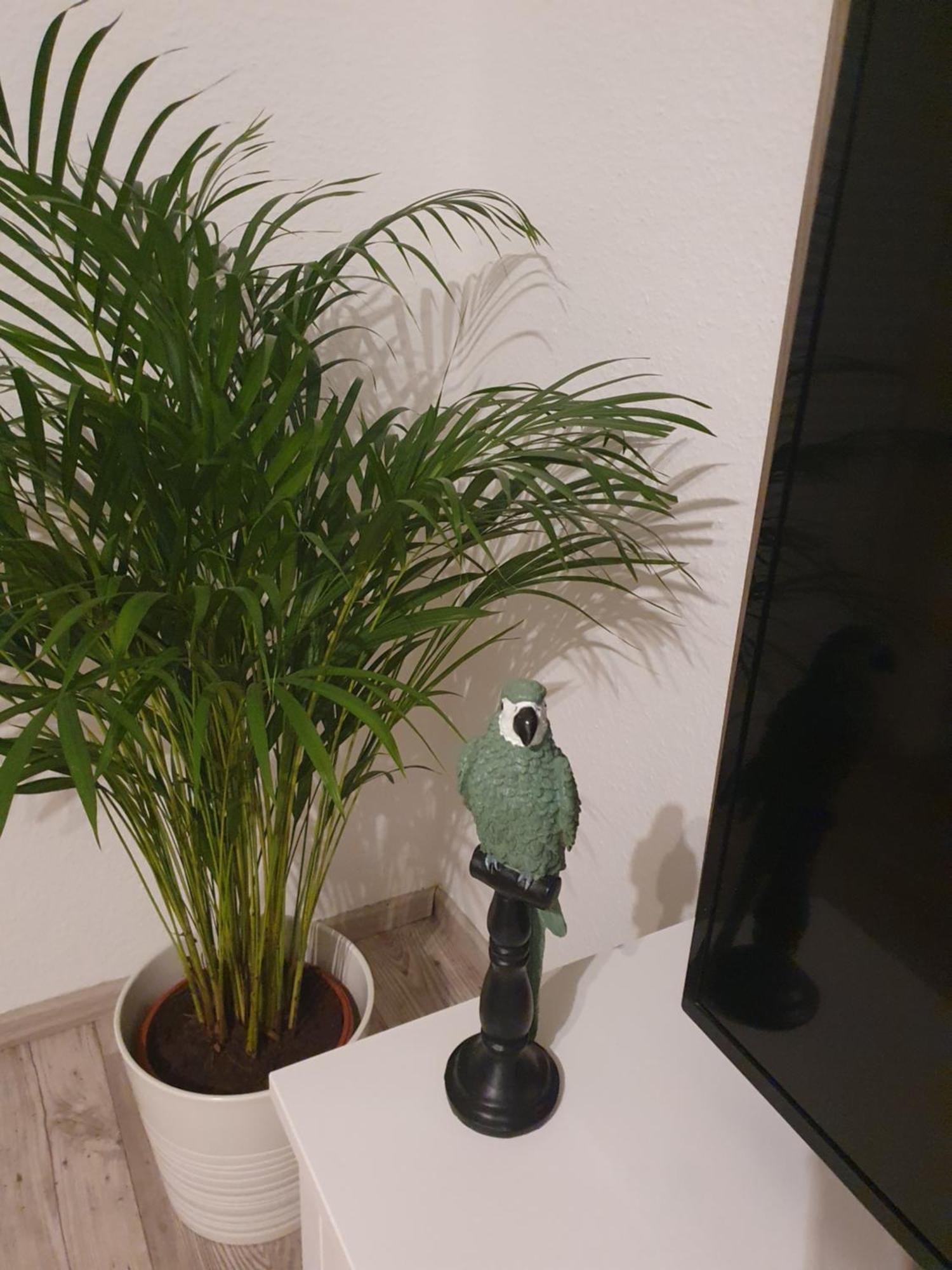Charmante Haushaelfte Mit Garten Und Terrasse Flensburgo Habitación foto